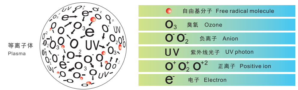 91视频下载地址体
