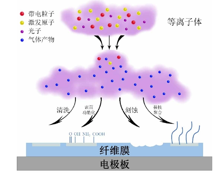 91视频下载地址体改性聚丙烯纤维膜作用机制示意图